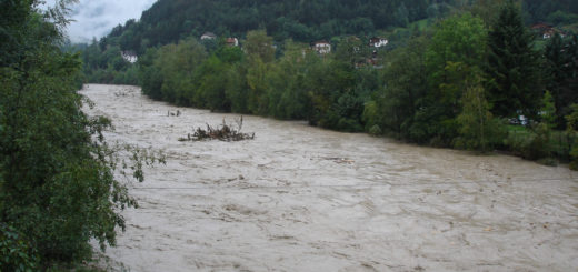 Der Inn transportiert Unmengen Dreck und Bäume