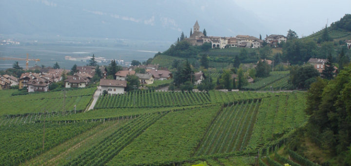 Blick auf Tramin